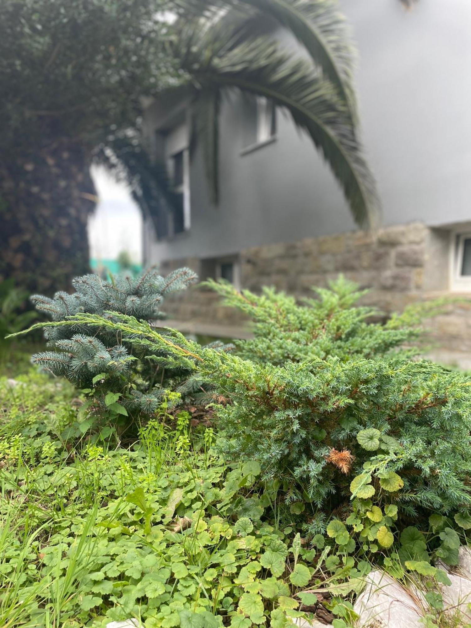 Villa Kasaboba Parres de Llanes Esterno foto